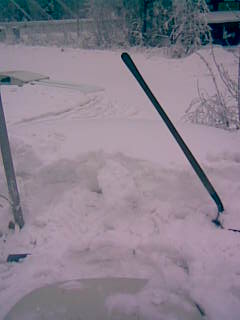 image001 Two feet of snow and several feet left to clean...