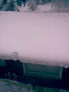 image004 A shot of the cabin roof. It's about two feet deep.