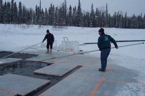 100_4279 Stirring those ice cubes around so they don't refreeze in place.