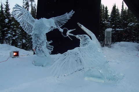 100_4290 Down the road a way to the first competition piece. Several days later the keys the birds are fighting over fell to the gound and broke.