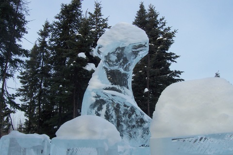 100_4338 Snow covered sculpture. We had a lot of snow last winter so this kept happening. We have the equipment to blow them off.