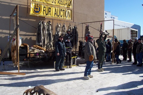 100_4413 Can you believe it? A fur auction in 2009.