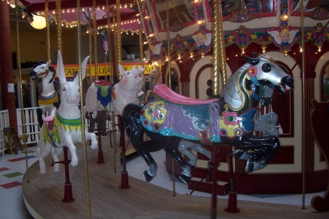 Ride anyone?
