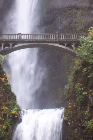 The bridge.