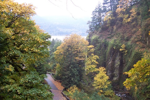 Off in the distance, the Columbia River.