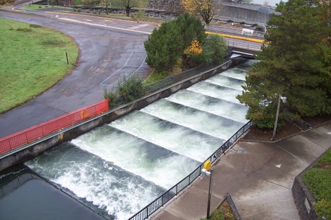 A fish ladder.