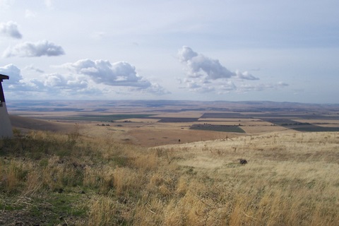 Here's a view looking back west from the foothills of the Blues.