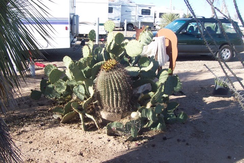 And the cactus garden. Started and maintained by the guests of the park. Some of them are here for months at a time.