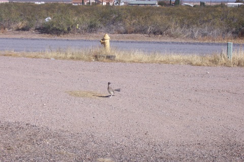He stopped to check me out.