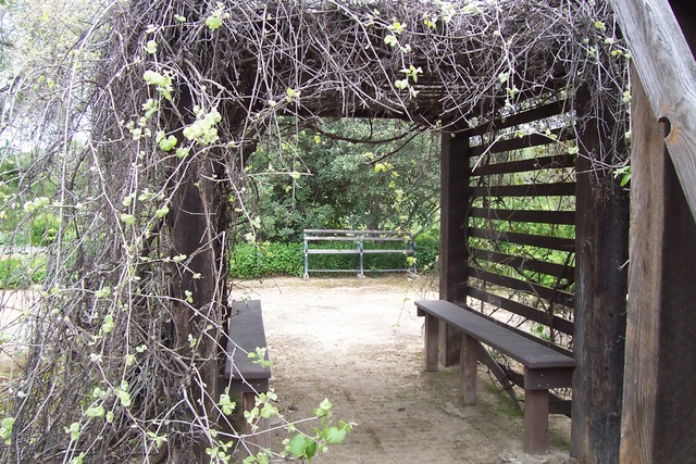 sector220135